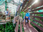 Cairns ZOOM and Wildlife Dome Ropes Course family