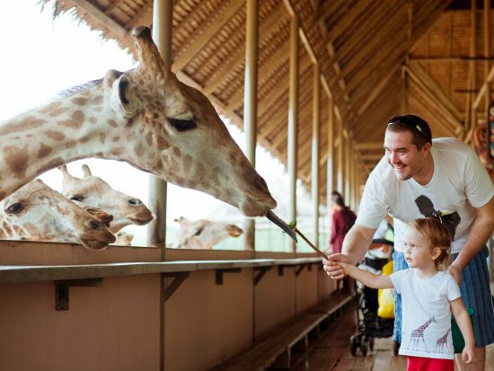 バンコク サファリワールド＋マリンパーク1日ツアー　オラウータンやトラと写真撮影可！お子様連れにも人気＜ホテル送迎／日本語ガイド／昼食付＞
