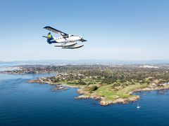 Otter Victoria Panorama Tour