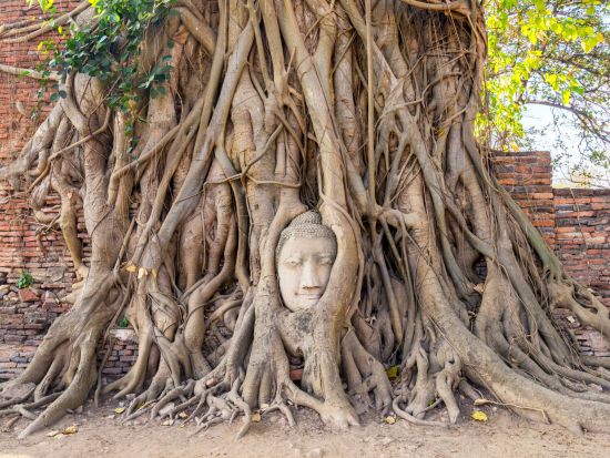 アユタヤ遺跡観光ツアー 5大遺跡巡りと遺跡ライトアップ鑑賞＜午後／日本語／アユタヤ名物・手長エビディナー付きプランあり＞
