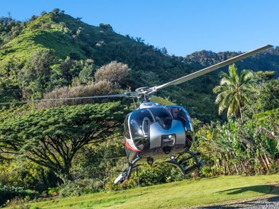 ヘリコプター遊覧飛行　ハナとワイルア渓谷の上空を巡る！ハナの熱帯雨林上陸付き＜75分／英語ガイド＞byマーベリック