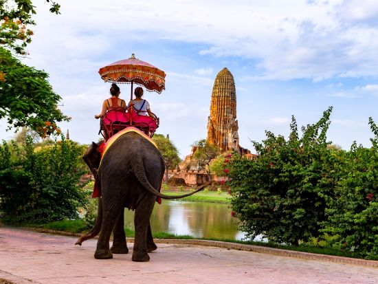 アユタヤ3大遺跡＋象乗り半日観光ツアー　象が遊びに来るカフェ付プラン・「ピンクのカオマンガイ」食事券付きプランあり＜午前／日本語ガイド＞