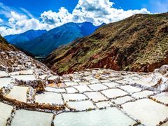 Maras