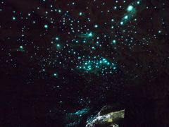 New_Zealand_Waitomo_Glowworm_Caves_shutterstock_560073568