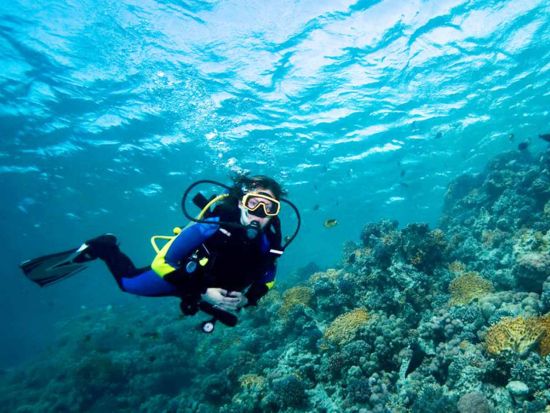 体験ダイビング ライセンス＆経験不要！カウアイ島の海中世界を満喫＜ボート／2ダイブ／ポイプ発＞by Seasport Divers