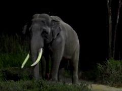 20161108003933_422825690_1978_9