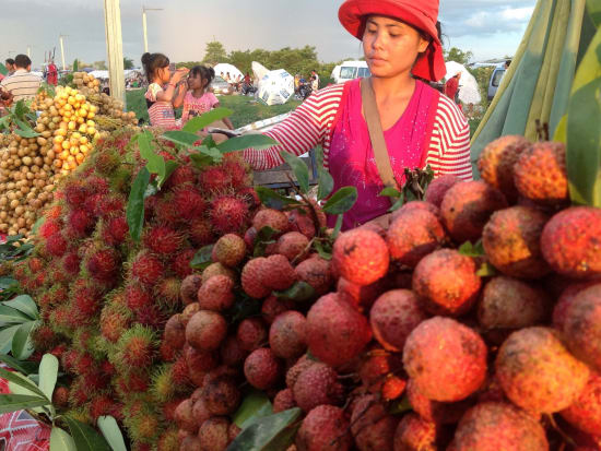 fruit market visit in siem reap