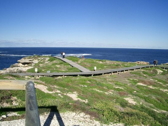 ロットネスト島「世界一幸せな動物」クオッカに出逢える自由散策＆島内周遊バスツアー＜英語／パースorフリーマントル発着＞
