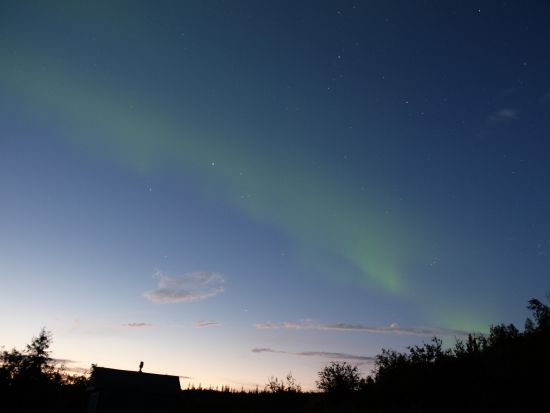 イエローナイフ オーロラ観賞ツアー　3～5日間パッケージで鑑賞率UP ＜8～4月／日本語または英語ガイド／イエローナイフ空港発＞