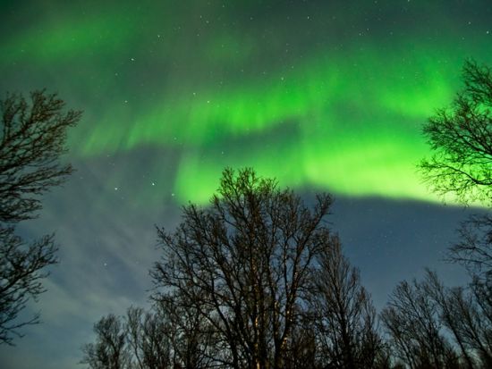 イエローナイフ オーロラ観賞ツアー　3～5日間パッケージで鑑賞率UP ＜8～4月／日本語または英語ガイド／イエローナイフ空港発＞