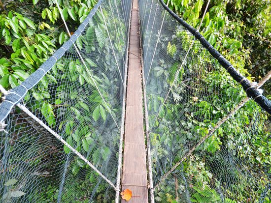 shutterstock_673704931 2