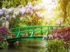 Giverny's Japanese Bridge