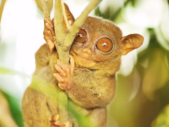 shutterstock_72760723 2