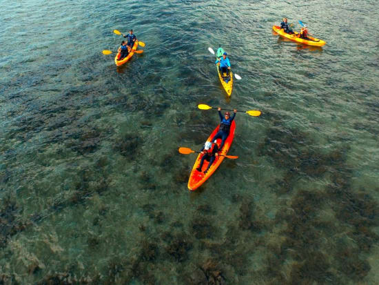 Great Barrier Reef Turtle Kayak Adventure In Cairns With Hotel Pick-up 