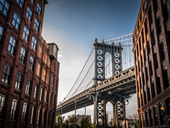 ニューヨーク自由の女神観光ツアー　リバティ島上陸＋ブルックリン橋ぶらり散歩＋ダンボ地区　チェルシーマーケット解散プランあり＜4・8時間／日本語ガイド／貸切＞