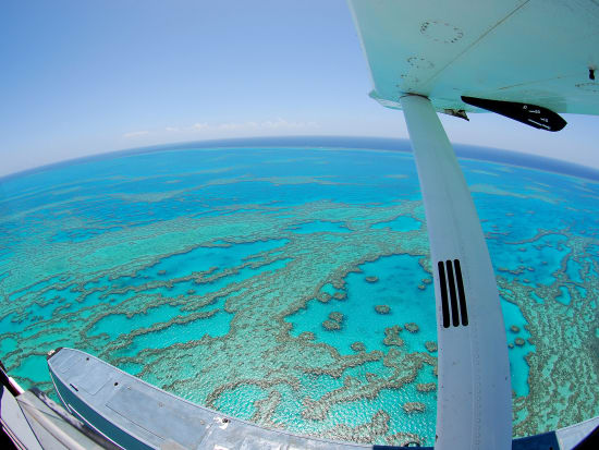 the great barrier reef2