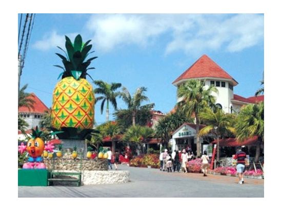 美ら海水族館観光バスツアー 古宇利島＋御菓子御殿＋ナゴパイナップルパーク＋万座毛をめぐる1日観光！ディナー付プランあり＜那覇市・北谷・恩納村発／3歳以下無料＞