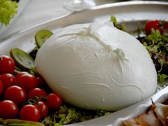 mozzarella dibufala