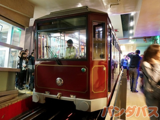 モーニング香港ハイライト観光ツアー　ミシュラン獲得の香港発点心専門店「添好運（ティム・ホー・ワン）」飲茶昼食付きプランがおすすめ＜午前／日本語ガイド／香港発＞