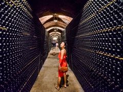 spain, barcelona, Penedès, cava, wine, tasting