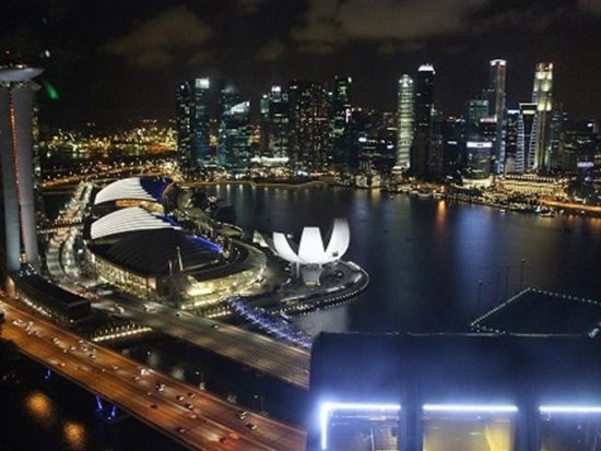 【貸切】シンガポール夜景ツアー　ガーデンズ・バイ・ザ・ベイの光のショー＋リバークルーズ＋「REDHOUSE」のチリクラブ夕食付き＜日本語ガイド／ホテル送迎付き＞