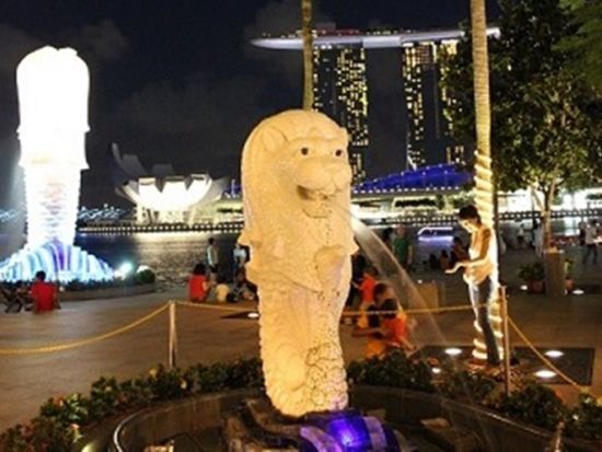 【貸切】シンガポール夜景ツアー　ガーデンズ・バイ・ザ・ベイの光のショー＋リバークルーズ＋「REDHOUSE」のチリクラブ夕食付き＜日本語ガイド／ホテル送迎付き＞