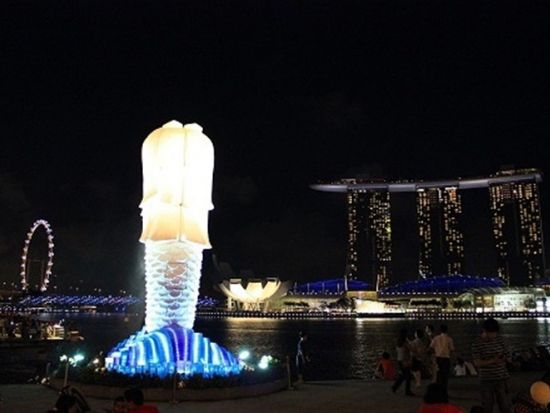 【貸切】シンガポール夜景ツアー　ガーデンズ・バイ・ザ・ベイの光のショー＋リバークルーズ＋「REDHOUSE」のチリクラブ夕食付き＜日本語ガイド／ホテル送迎付き＞