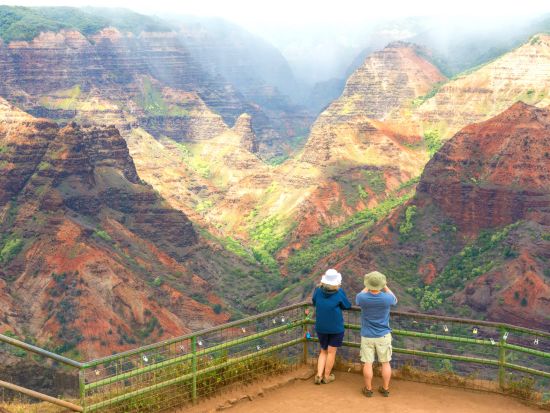 シダの洞窟観光ツアー　ワイメア渓谷＆ポイプ潮吹岩＆オパエカア滝 ＜英語ガイド＞