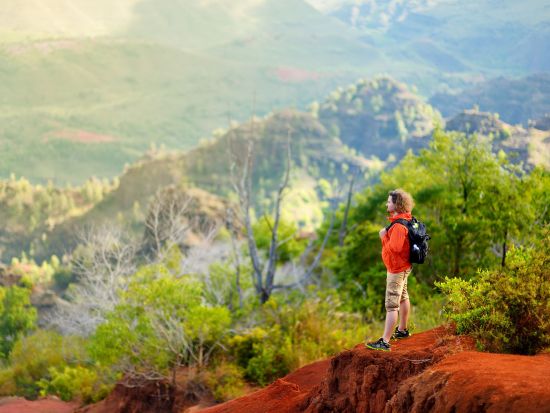 カウアイ島　中級者向けハイキングツアー☆ワイメア渓谷ワイポオ滝を訪問♪＜午前／英語ガイド／昼食付＞