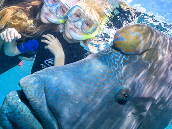 スクリーンショット 2017-09-12 10.36.32