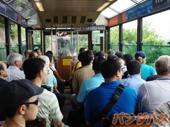 香港島&九龍のみどころ 1日まるごと観光ツアー　ミシュラン獲得の香港発点心専門店「添好運（ティム・ホー・ワン）」での飲茶ランチ付き＜日本語ガイド／昼食／香港発＞