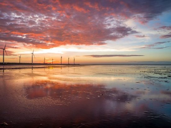 見どころ全部回れる決定版！彩虹眷村＋宮原眼科＋高美湿地観光ツアー