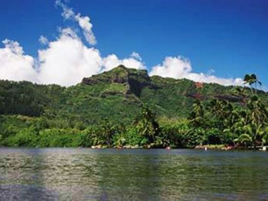 シダの洞窟 観光遊覧船　ハワイ唯一の航行可能な川を行く！＜英語ガイド／半日＞