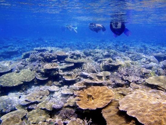 20120729224654_1060832132_2413_9