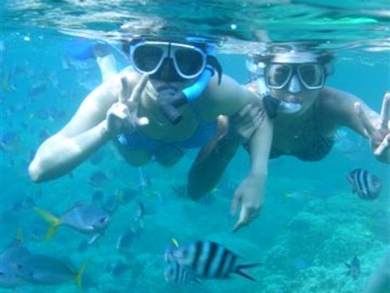 20120720063034_1149011178_2413_0