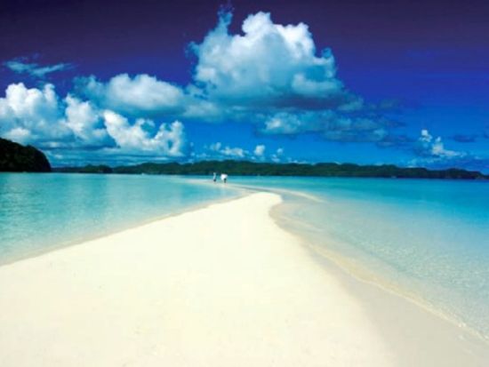 スクリーンショット 2017-09-14 10.40.45