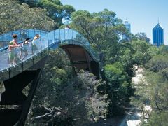 rsz_kings_park_-_twa_-_tree_top_walk_01-900x500