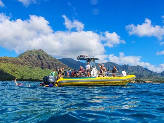 dolphin excursions hawaii prices