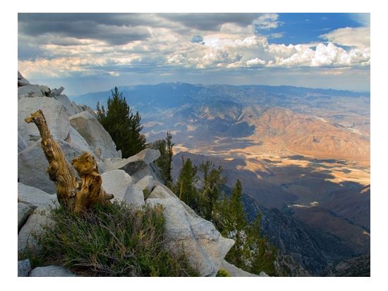 パームスプリングス・エリアル・トラムウェイ（Palm Springs Aerial Tramway）乗車チケット