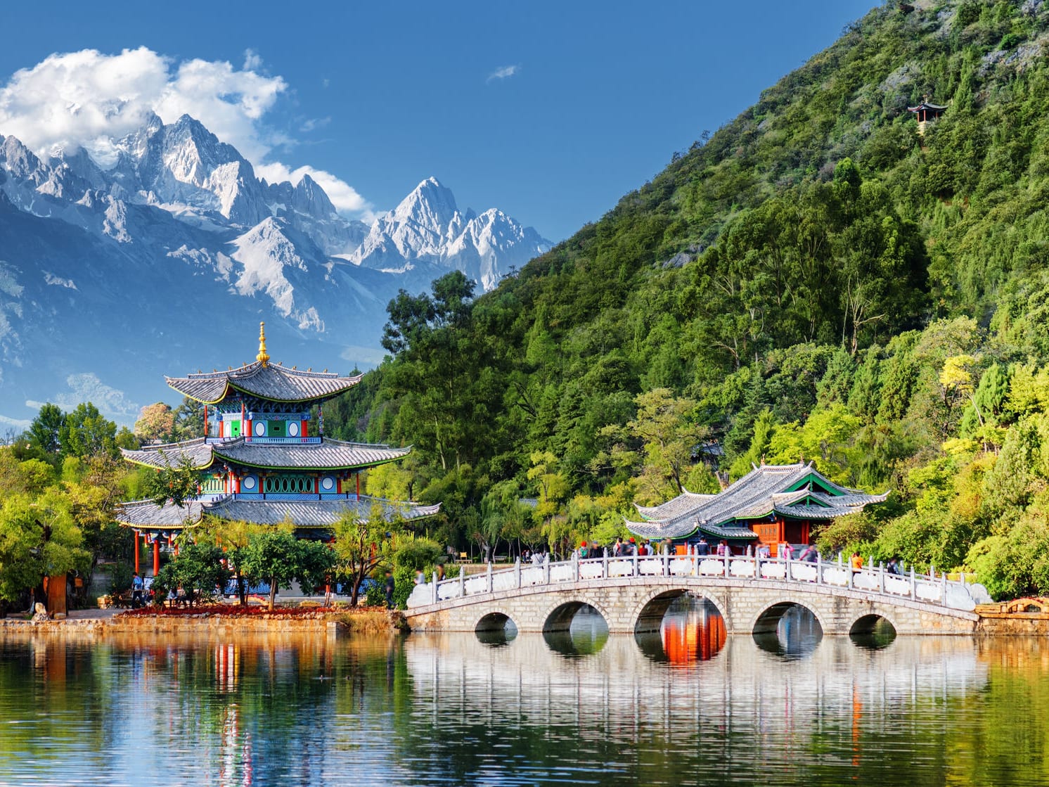 Lijiang Yak Meadow At Jade Dragon Snow Mountain And Shuhe Ancient Town ...