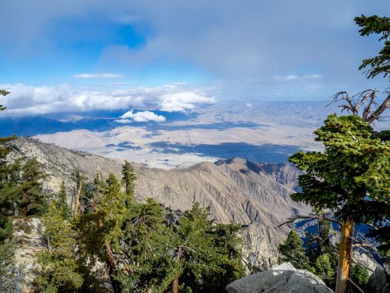 パームスプリングス・エリアル・トラムウェイ（Palm Springs Aerial Tramway）乗車チケット