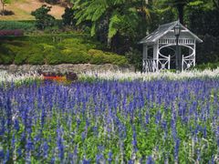 Wellington_Botanic_Gardens_shutterstock_438373813