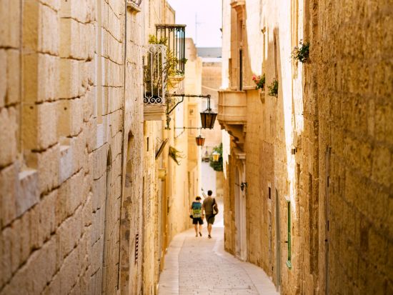 【プライベートツアー】好きな観光地が選べる マルタ日帰りツアー＜車＋ガイド貸切／日本語または英語＞