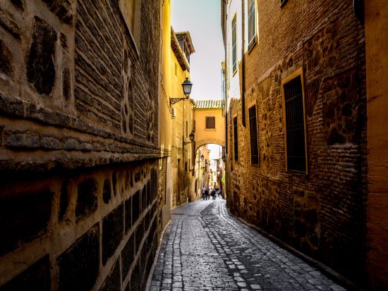 【8～10月限定】世界遺産トレド 半日観光ツアー　トレド大聖堂＆サント・トメ教会訪問＜日本語ガイド／マドリード発＞by [みゅう]