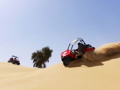 Dune Buggy