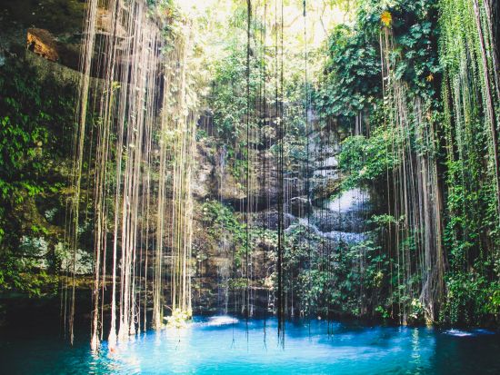 チチェン・イッツァ遺跡とセノーテ・イキル 観光ツアー 夕方帰着で参加後の時間も有効活用！＜混載／日本語ガイド／昼食ビュッフェ／カンクン発＞