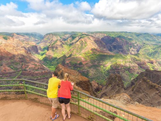 シダの洞窟観光ツアー　ワイメア渓谷＆ポイプ潮吹岩＆オパエカア滝 ＜英語ガイド＞