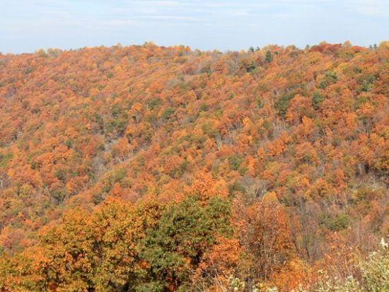 シェナンドー国立公園＆ルーレイ鍾乳洞　1日観光ツアー ＜日本語ドライバーガイド＞