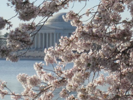 首都ワシントンD.C.半日観光ツアー　見どころを網羅 ＜午前／日本語ドライバーガイド＞