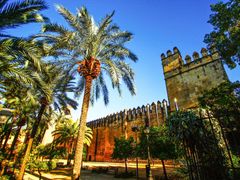 Jewish Quarter Walking tour and Alcazar de Cordoba Ticket